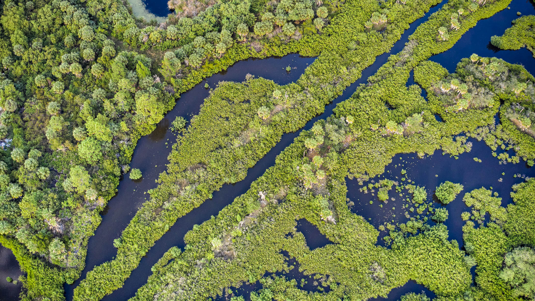 Florida Wetlands Captured from Drone Photographer