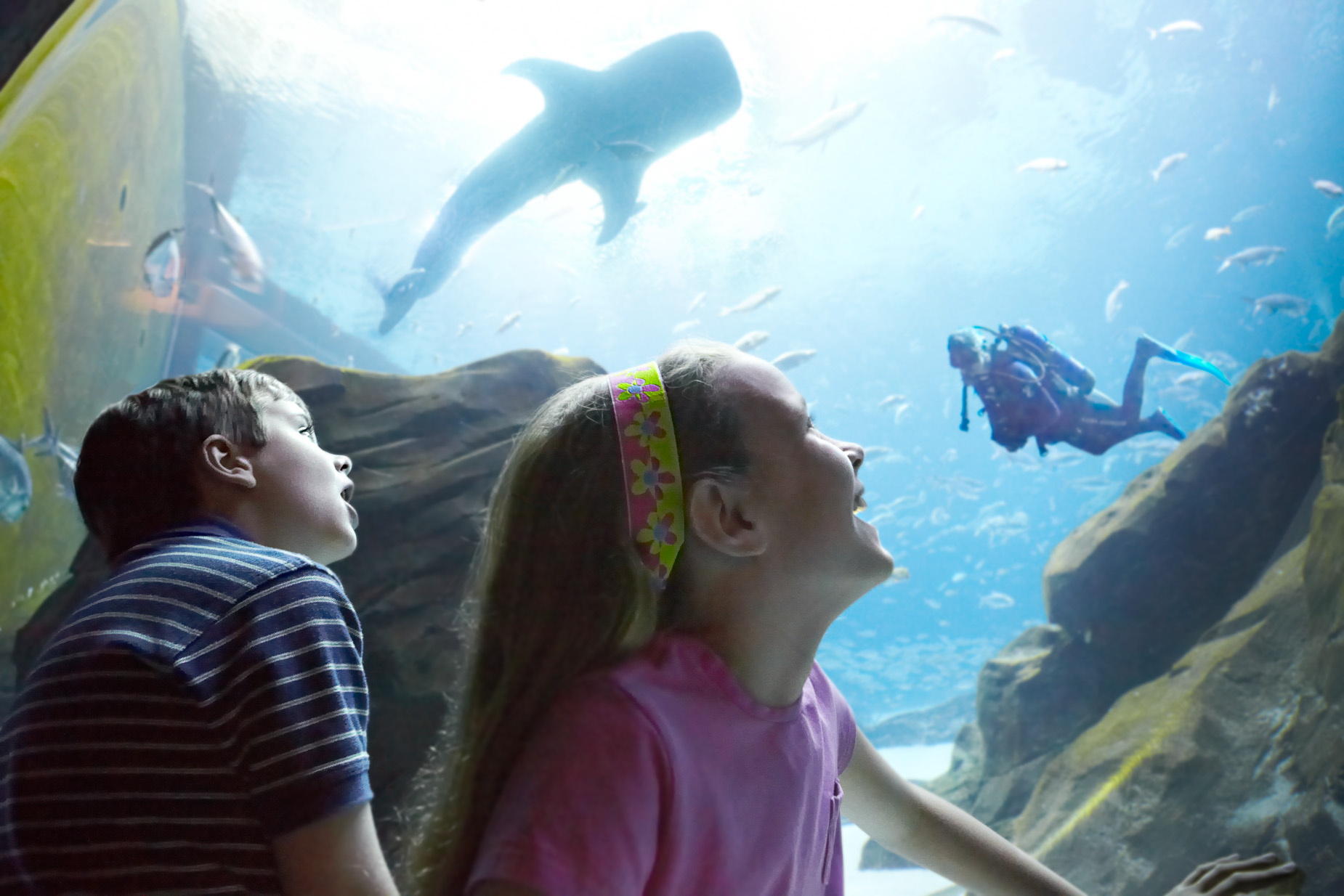 Kids at the Georgia Aquarium